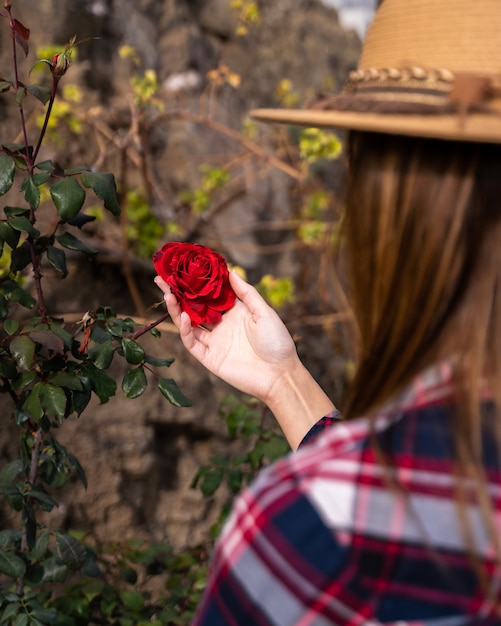Zdjęcie kobieta patrzeje różową czerwieni róży w polu.
