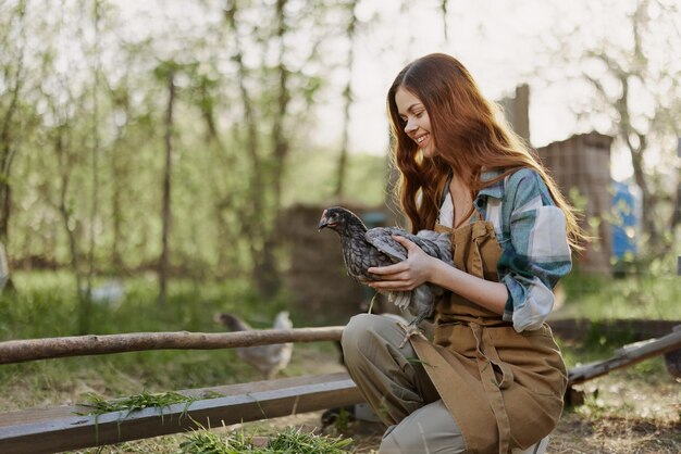 Kobieta patrzy na kurczaka, którego trzyma w dłoniach, pracując w gospodarstwie rolnym, aby hodować zdrowe ptaki i karmić je ekologiczną żywnością w przyrodzie