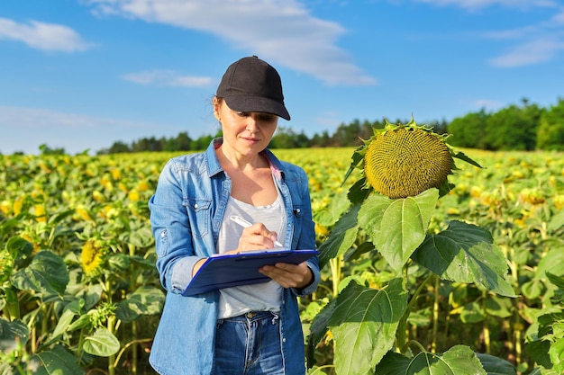 Kobieta pracująca w rolnictwie z folderem roboczym w zielonym polu słonecznika, kobieta pracująca na farmie, analizuje zbiory