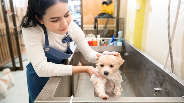 Kobieta profesjonalny groomer kąpiel psa w salonie pielęgnacji spa dla zwierząt domowych
