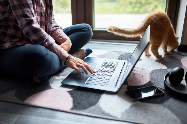 Zdjęcie kobieta przeszukuje stronę weterynarza na laptopie, aby zarejestrować kota na konsultację weterynaryjną