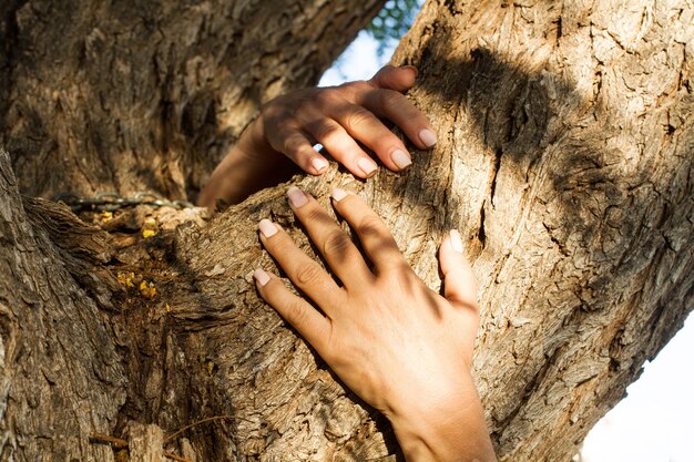 Kobieta ręce przytulanie pnia drzewa na zewnątrz