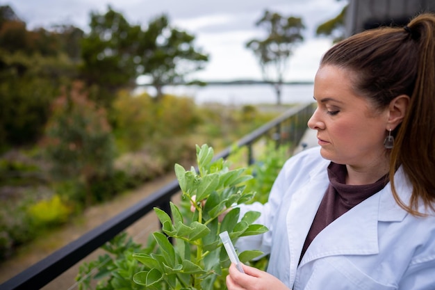 Kobieta-rolnik-naukowiec badająca rośliny i badania rolnicze