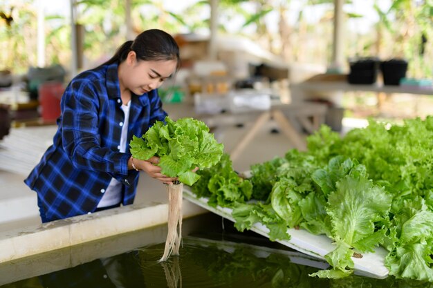 Kobieta rolnik opiekuńczy Hydroponika działka warzywna organiczne warzywa