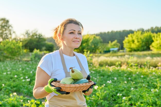 Kobieta rolnik w fartuchowych rękawiczkach z koszem świeżej cukinii. Kobieta w ogródku warzywnym, sezon letni, uprawiająca zdrową żywność ekologiczną