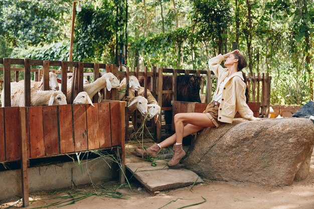 Kobieta siedząca na skale przed grupą owiec w klatce