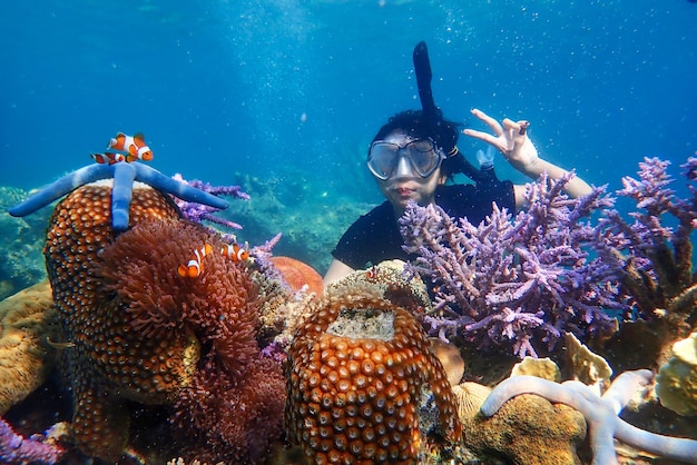 kobieta snorkeling odkrywająca podwodną rafę koralową z kolorowymi rybami i życiem morskim
