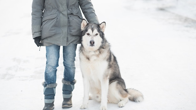 Kobieta Spaceru Z Alaskan Malamute W Zimowym Mieście.