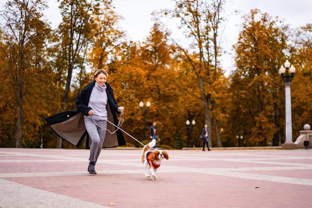 Kobieta spaceruje po parku z Cavalier King Charles Spaniel. Kobieta spacerująca po jesiennym parku z psem. Cavalier King Charles Spaniel