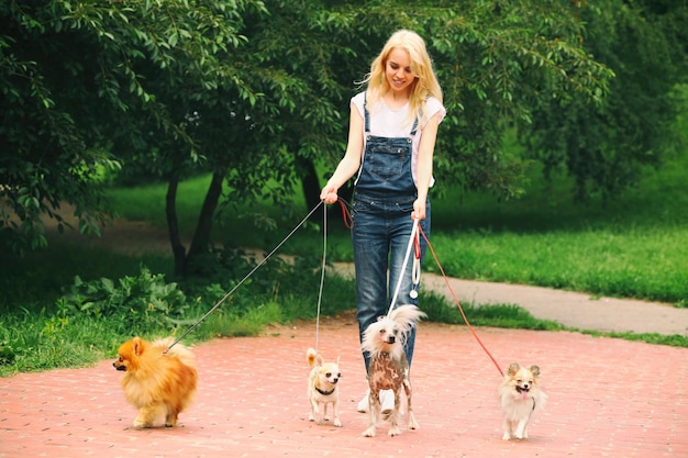 Zdjęcie kobieta, spacery z psami w parku