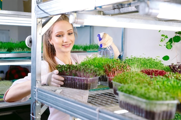 Zdjęcie kobieta spryskuje microgreens wodą. małe mikro-zielone gospodarstwo.