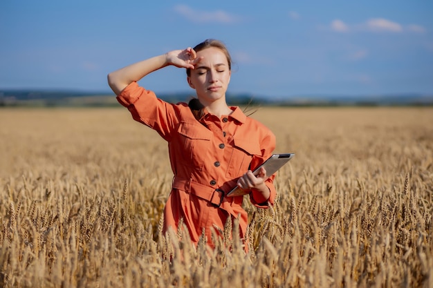 Kobieta Technolog Kaukaski Agronom Z Komputera Typu Tablet W Dziedzinie Sprawdzania Jakości Pszenicy