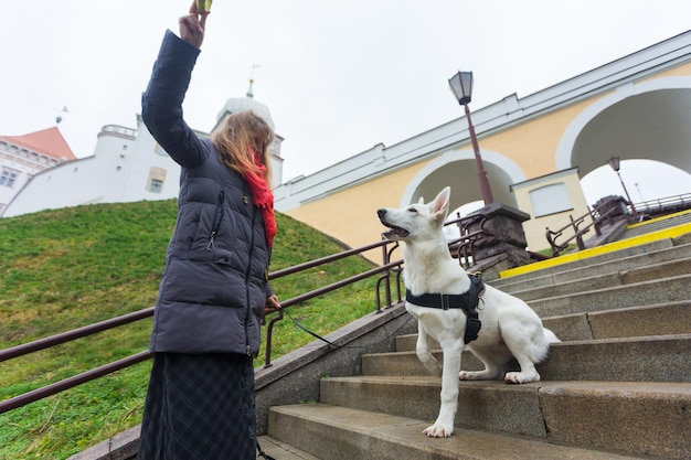 Kobieta trenuje swojego uroczego psa Białego Owczarka Szwajcarskiego na zewnątrz na schodach w parku miejskim.