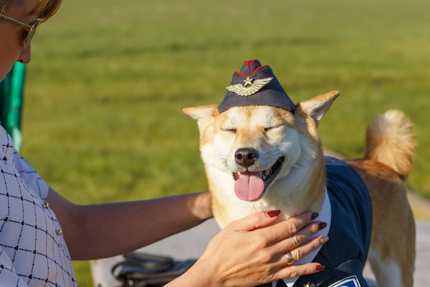 Kobieta ubiera swojego psa Shiba Inu w garnitur pilota na lotnisku