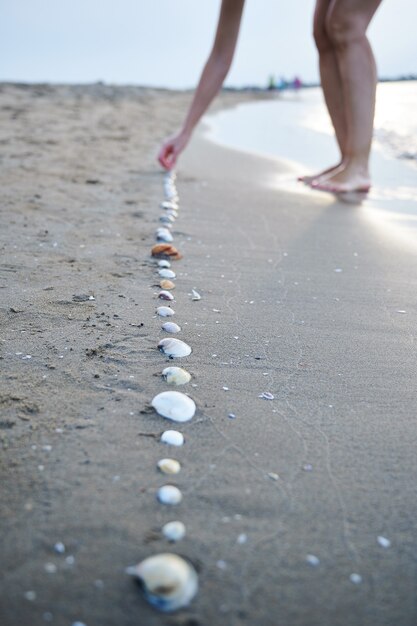 Zdjęcie kobieta układająca muszle w kolejce na piasku nad brzegiem morza z selektywnym naciskiem