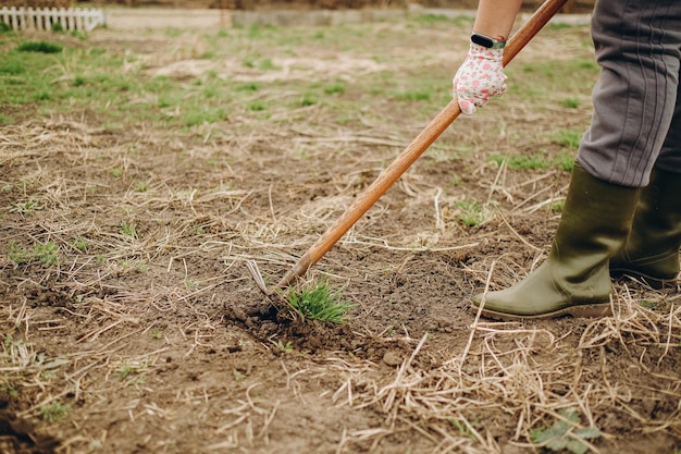 Kobieta usuwa chwast z ziemi za pomocą specjalnego narzędzia Czyszczenie ogrodu z chwastów na wiosnę