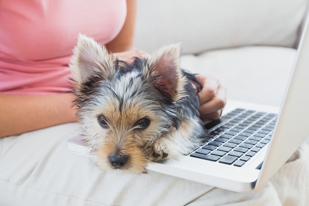 Kobieta używa laptop z jej Yorkshire terierem