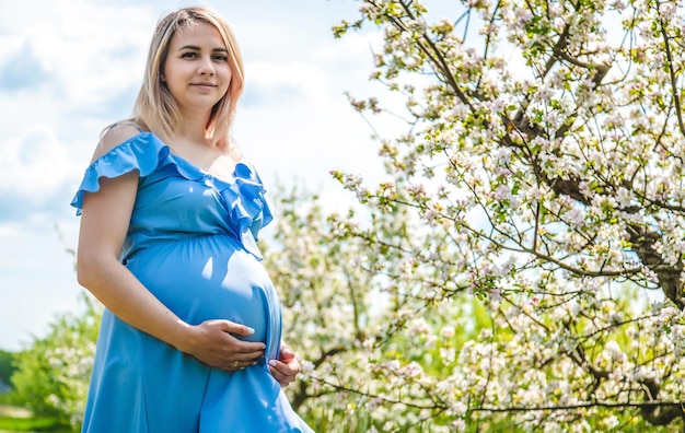 Kobieta w ciąży w ogrodzie kwitnących jabłoni Selektywne fokus