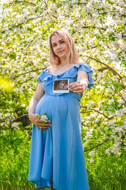 Kobieta w ciąży w ogrodzie kwitnących jabłoni USG Selektywne skupienie