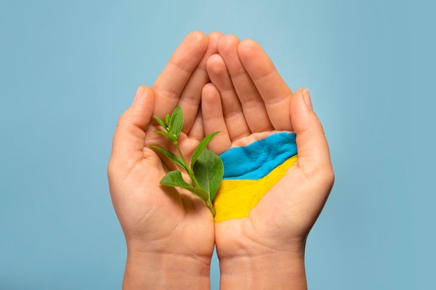 Zdjęcie kobieta w dłoniach z ukraińską flagą trzymająca młodą roślinę pomaga ukraińcom