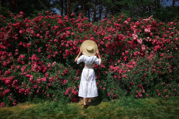 Kobieta w kapeluszu i białej sukience z gorsetem spaceruje po ogrodzie na tle krzewów róży Piękna romantyczna dziewczyna