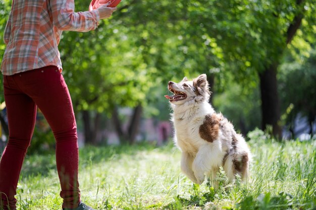 Kobieta W średnim Wieku Bawi Się Ze Swoim Psem Rasy Border Collie