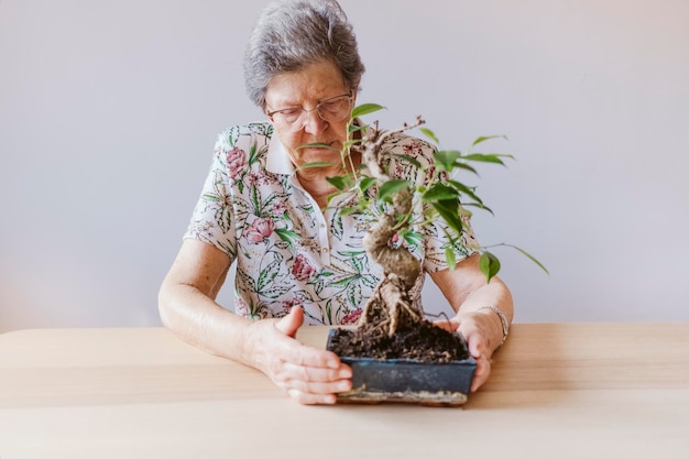 Kobieta w wieku ponad 80 lat siedzi przy stole i z miłością dba o małe drzewo bonsai