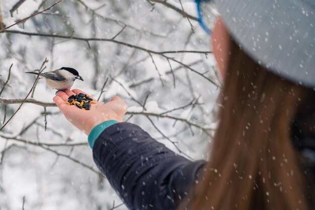 Kobieta W Zimnej Kurtce Karmi Ptaki W śnieżnym Zimowym Lesie śnieżny Zimowy Dzień