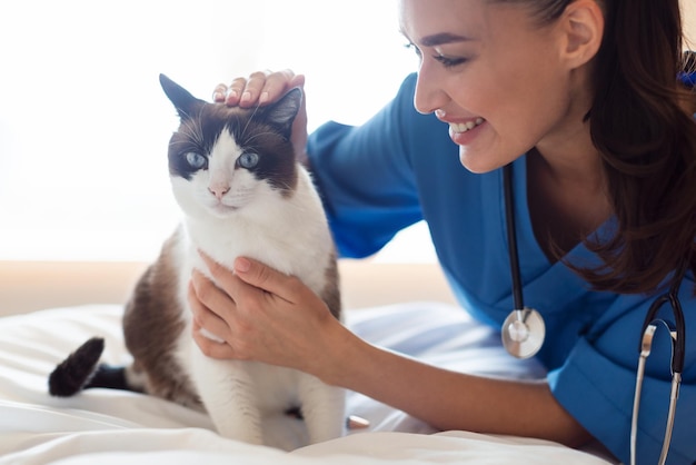 Kobieta weterynarz pocieszająca kota podczas wizyty w klinice weterynaryjnej