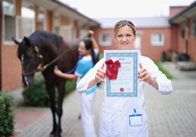 Kobieta weterynarz posiada certyfikat medyczny dla koni Badanie medyczne koni sportowych czystej rasy
