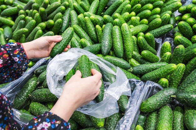 Kobieta wybiera ogórki w supermarkecie. Selektywna ostrość. Jedzenie.