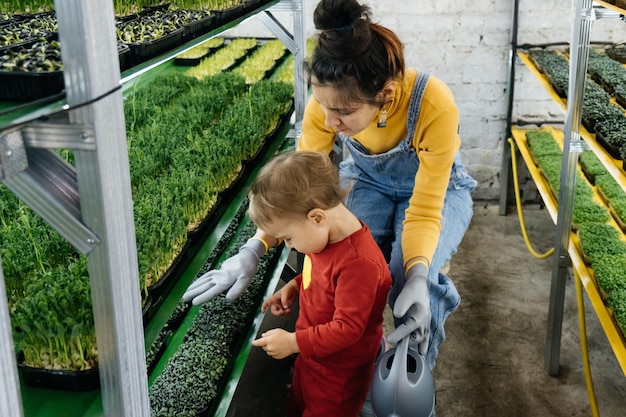 Kobieta z chłopcem pracującym na farmie microgreen