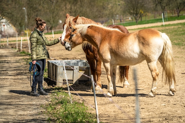 Kobieta z koniem na padoku w przyrodzie