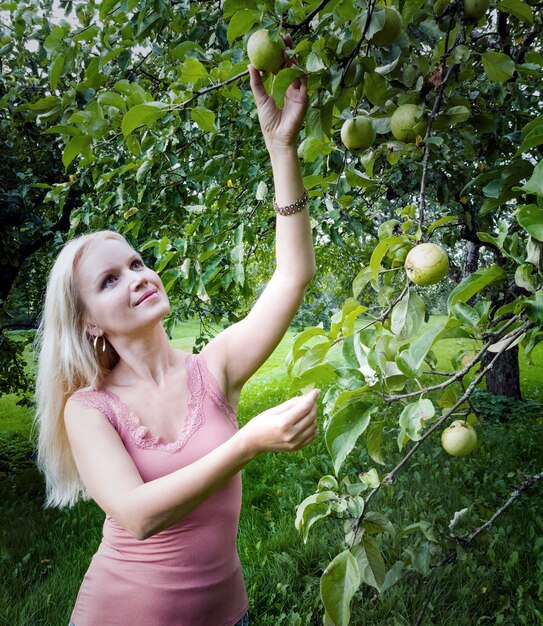 Zdjęcie kobieta zbierająca jabłko stojąca na polu w parku