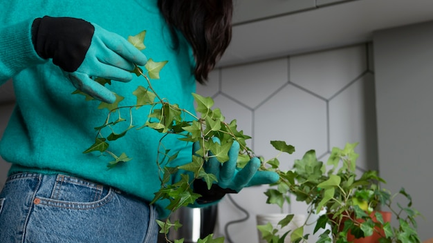 Zdjęcie kobieta zmienia doniczki ze swoimi roślinami w domu podczas kwarantanny