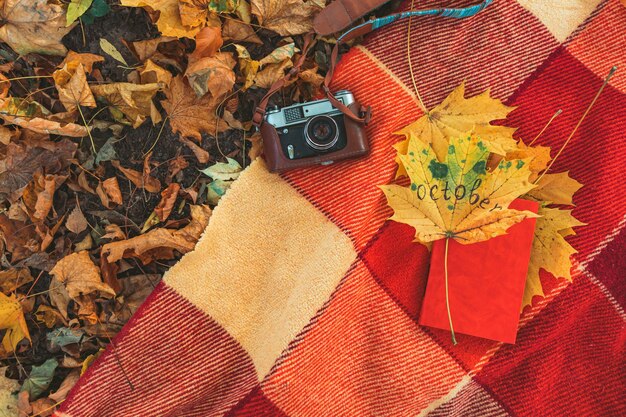 Zdjęcie koc z książką i starą kamerą retro na ziemi w jesiennym parku publicznym. kopiuj przestrzeń