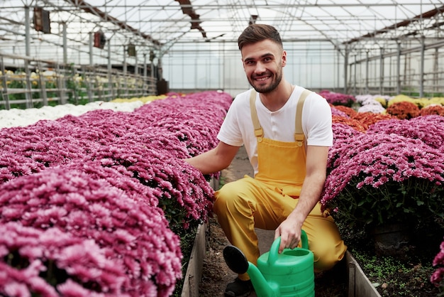 Kochać Naturę. Zdjęcie Pięknego Młodego Faceta W Szklarni, Dbającego O Różowe Kwiaty.