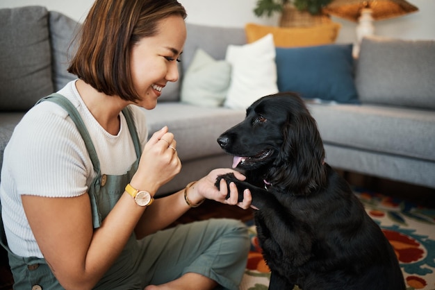 Zdjęcie kochaj łapę i kobietę z psem w domowym salonie, aby odpocząć i bawić się ze zwierzęciem szczęście właściciela zwierzęcia i azjatycka osoba na podłodze w celu szkolenia opieki nad towarzyszem i dobrego samopoczucia lub przyjaźni w przytulnym mieszkaniu