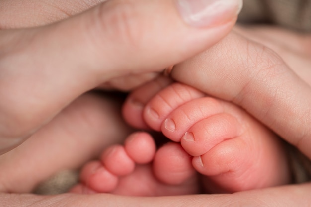 Kochająca Mama Trzyma Nogi Dziecka. Szczęśliwe Dzieciństwo. Opieka Rodzicielska. Pojęcie Szczęśliwej Rodziny.