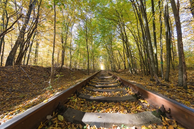 Kocham tunel jesienią