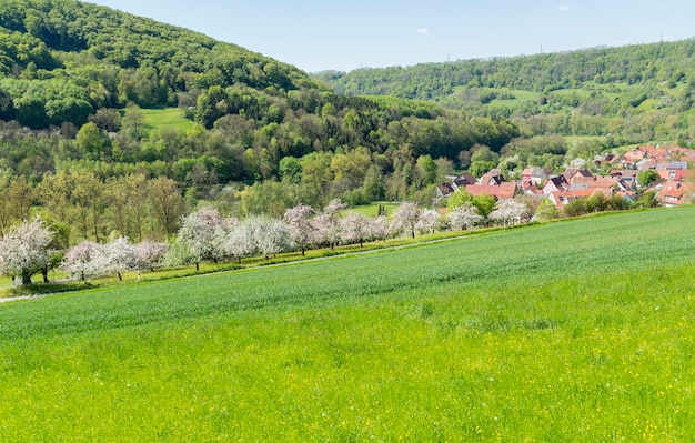 Kocherstetten w Hohenlohe