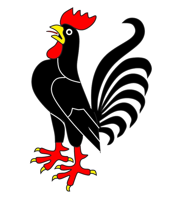 Zdjęcie kogut