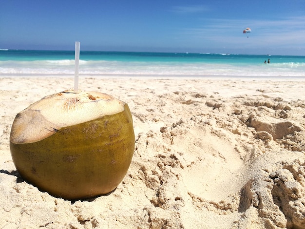 Kokos na piasku na plaży na tle nieba