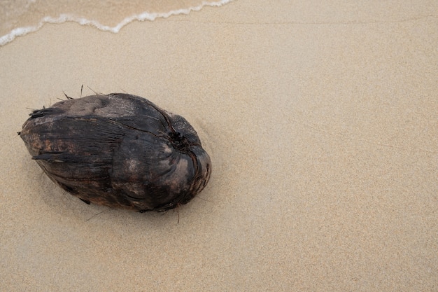 Zdjęcie kokos na plaży piękne tło piasku.