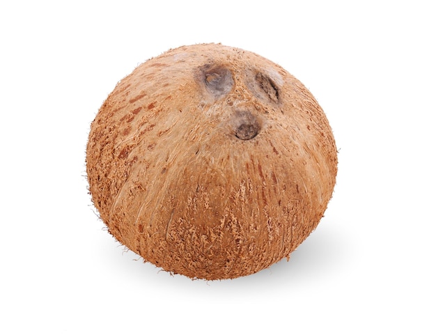 kokos wyizolowanych na białym tle