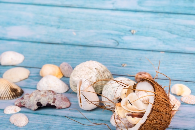 Zdjęcie kokosy, skały i muszle w koncepcji plaży