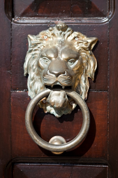 Kołatka do drzwi w kształcie starożytnego włoskiego lwa