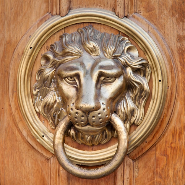 Zdjęcie kołatka klamka głowa lwa