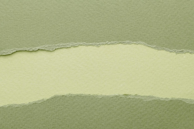 Kolaż artystyczny kawałków podartego papieru z podartymi krawędziami Kolekcja karteczek samoprzylepnych zielone kolory strzępy stron notesu Abstrakcyjne tło