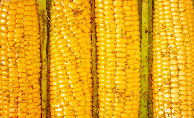 Kolby kukurydzy z przyprawami i liśćmi Koncepcja prostej naturalnej zdrowej żywności i sezonowych warzyw